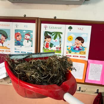 Baymak Kuş Yuvası Klima