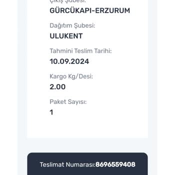 Aras Kargo Kargom Neden Gelmiyor?