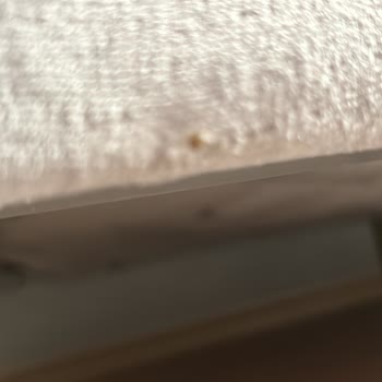 Bellona Hatalı Ürün Ve Yırtık Kumaş