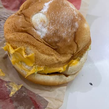 Kötü Yemek İstiyorsanız Burger King Ve Migros Yemek