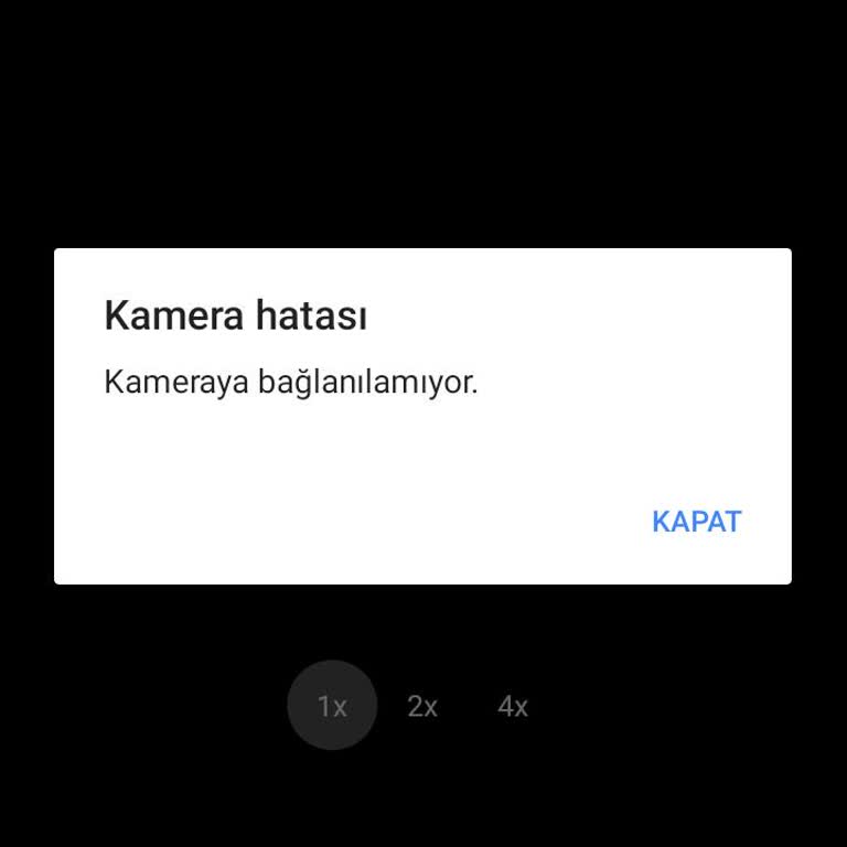 Omix ×400 Kamera Hatası