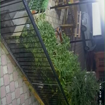 Getir Motokurye Şikayet Yanlış Park