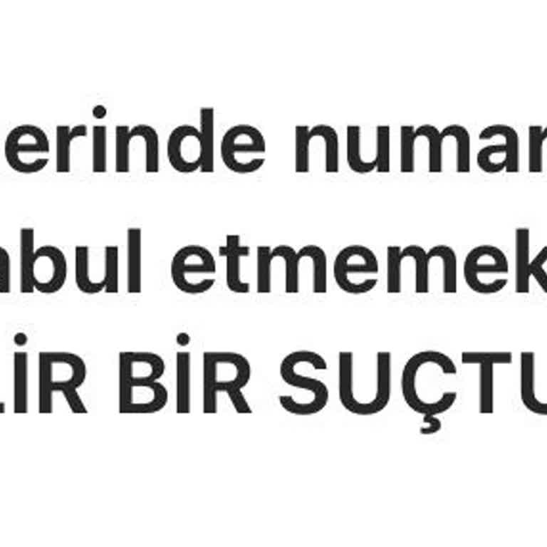 Cemo Kasanıza Bilgili Kültürlü İnsanlar Koyun