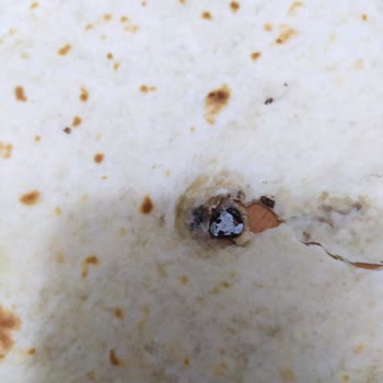 BİM Ekmecik Tortilla Lavaştan Demir Parçası Çıktı