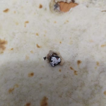 BİM Ekmecik Tortilla Lavaştan Demir Parçası Çıktı