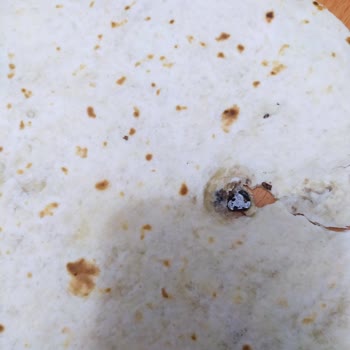 BİM Ekmecik Tortilla Lavaştan Demir Parçası Çıktı