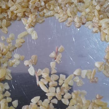 Duru Pilavlık Bulgurdaki Kurt Problemi