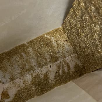 Wasa Gıda Wasa Dan Böcek Çıktı 4 Paket Çöp