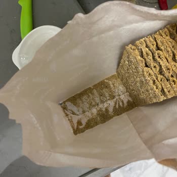 Wasa Gıda Wasa Dan Böcek Çıktı 4 Paket Çöp