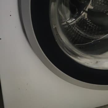 Pas Lekesi Sorunu ve Umursamaz Servis Hizmeti