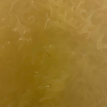 Filiz Makarna Paket Makarna Kalite Sorunları