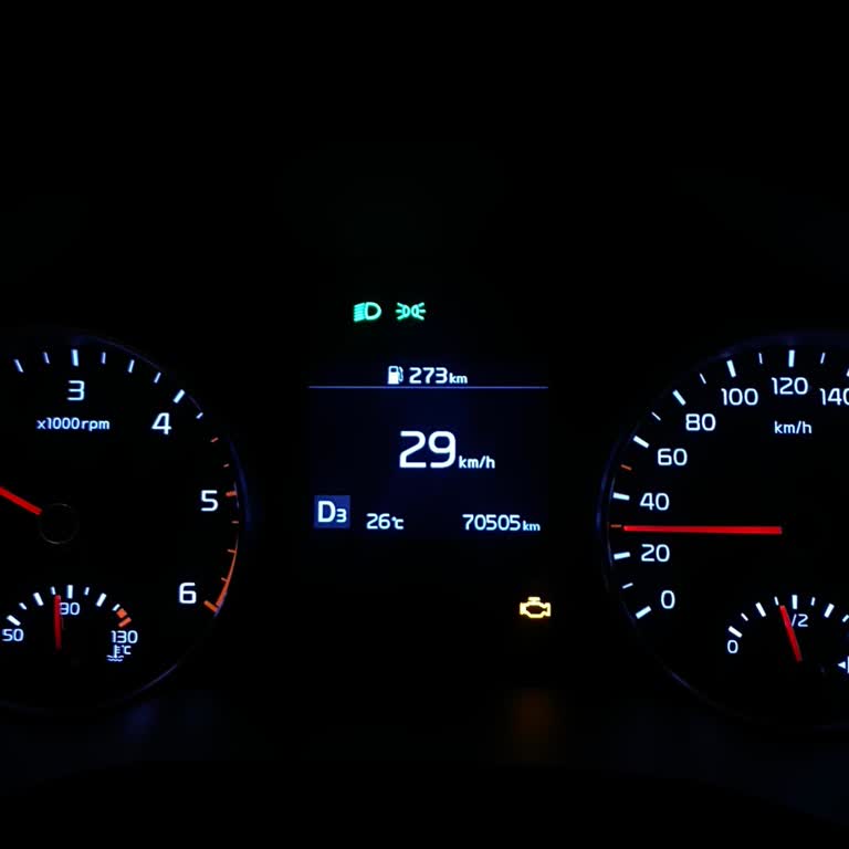Kia Sportage Motor Arıza Lambası