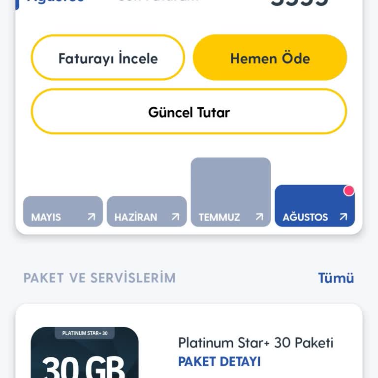 Fatura Erteleme Talebi: Acil Yardım Bekliyorum