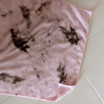 Akse Temizlik (Gebze) Kiralık Ev Temizliği Hizmetinde Büyük Hayal Kırıklığı