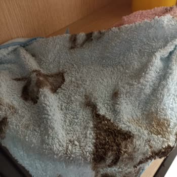 Akse Temizlik (Gebze) Kiralık Ev Temizliği Hizmetinde Büyük Hayal Kırıklığı