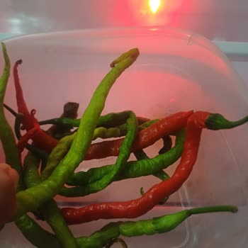 Beko Mavi Işık Taze Meyve Sebze Sorunu