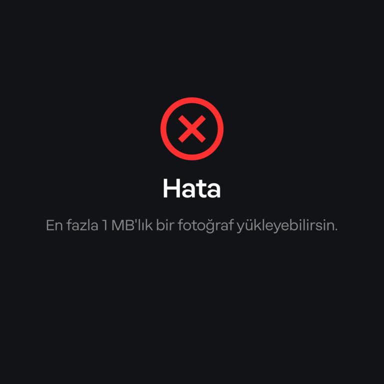 Papara 1 MB Fotoğraf Sorunu, Param Hesabımda Kaldı