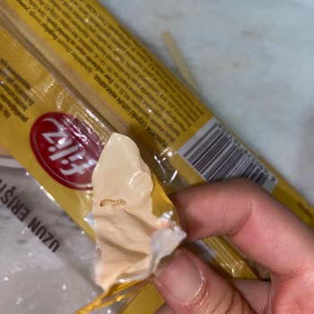 Filiz Makarna Dan Kurt Çıktı