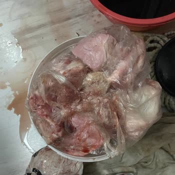 Bosch İlgili Birimin Dikkatin E