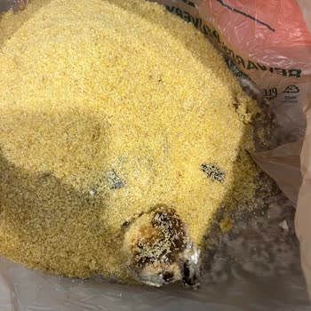 A101 Yeni Açılan Paketten Çıkan Tanımlanamayan Cisim!