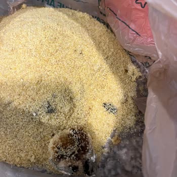 A101 Yeni Açılan Paketten Çıkan Tanımlanamayan Cisim!