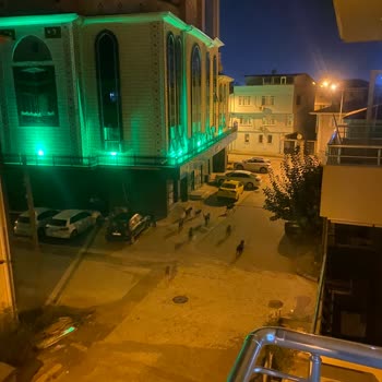 Sakarya Büyükşehir Belediyesi Sakarya Donatımda Başıboş Saldırgan Kopek Sorunu