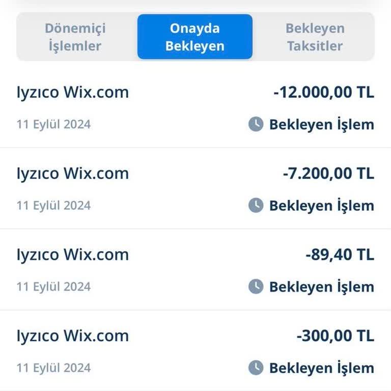 Wix.com Hesabımdan Onaysız Para Çekti