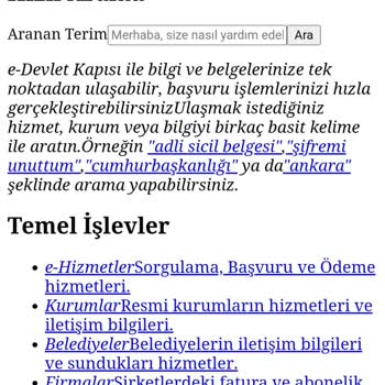 E-Devlet (Turkiye.gov.tr) Bağlantı Sorunu