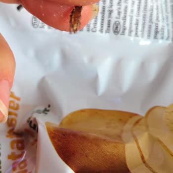 Lays Hazır Paket Gıda