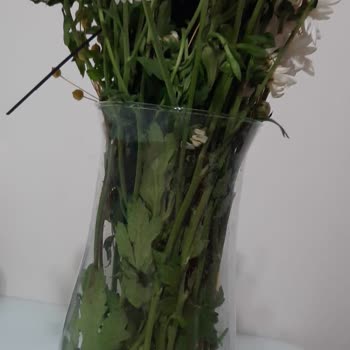 Kablo Net İlgisizliği Müşteri Hizmetleri Tutumu