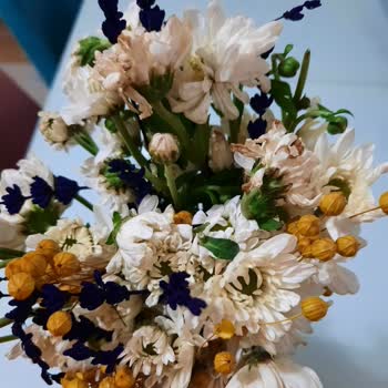 Kablo Net İlgisizliği Müşteri Hizmetleri Tutumu