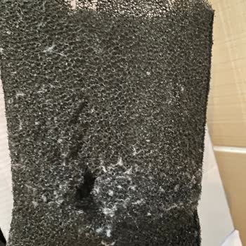 Fakir Deluxe Line 9800 S Halı Yıkama Makinesi Su Filtresi Şikayet