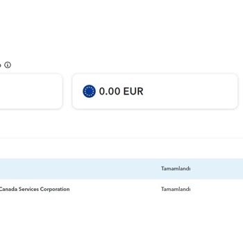 Payoneer Yıllık Hizmet Bedeli Sorunu