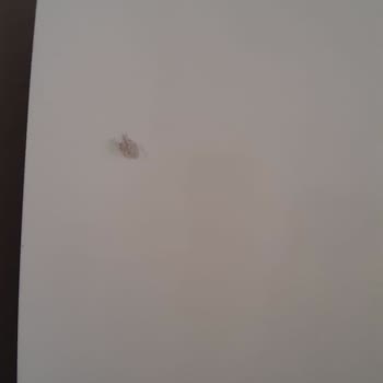 Doğan AVM (Çorlu) Kırık Ürün Teslimatı!