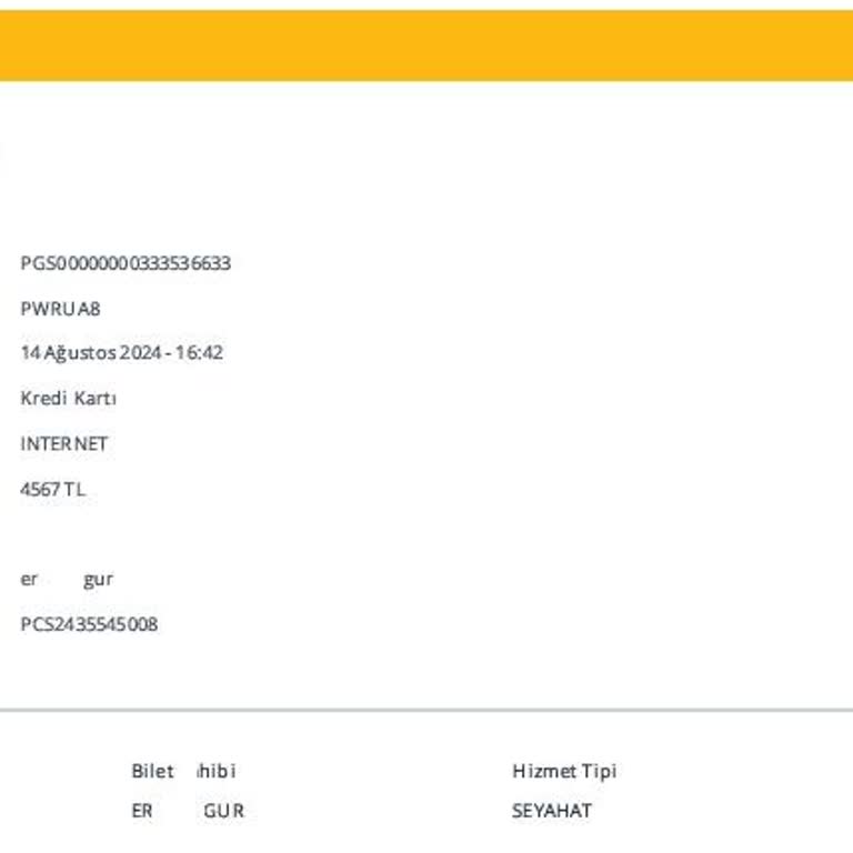 Pegasus İle Yaşadığım Zorlu Seyahat Deneyimi!