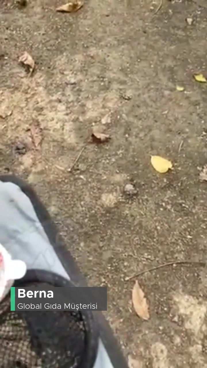 Global Gıda Cece Sürpriz Oyuncak Denen Şey videonun kapak resmi