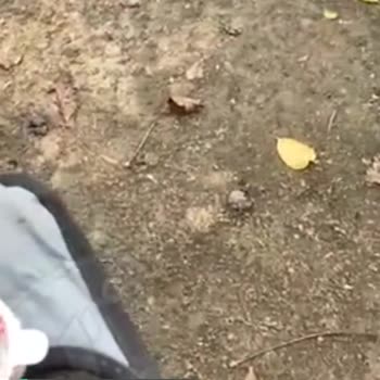 Global Gıda Cece Sürpriz Oyuncak Denen Şey