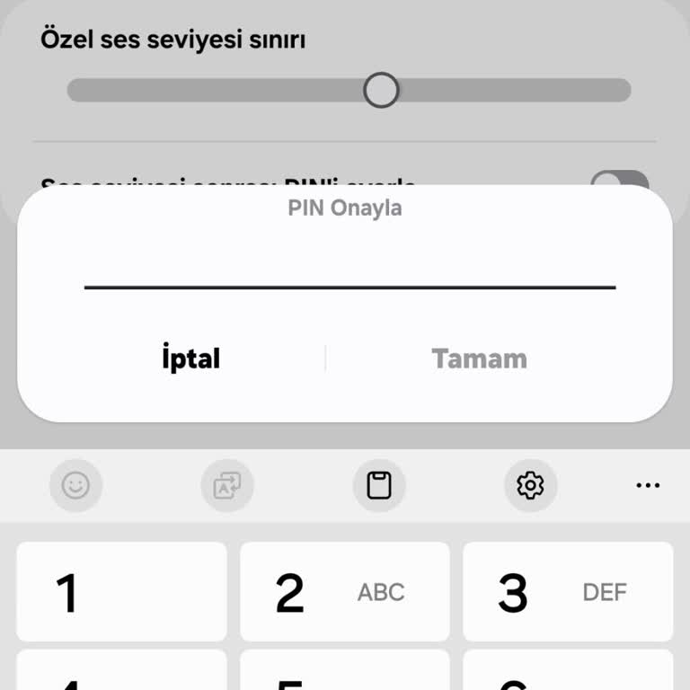Samsung Medya Ses Sınırı Pin'i
