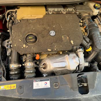 Peugeot 2008 Kaput Keçesi Sorunu