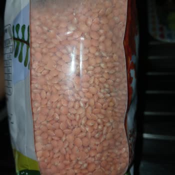 Doyum Organik Böcekli Mercimek