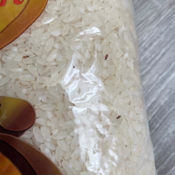 A101 Ovadan Marka Pirinç İçerisinde Böcekler Saltanat Kurmuş