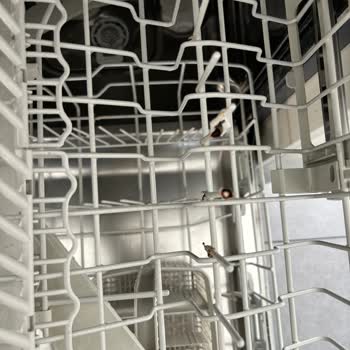 Franke Bulaşık Makinesi Sepet Paslanması