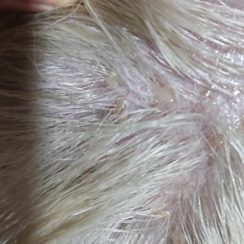 Miss Coiffeur Tekirdağ Merkez Kuaför Deneyimi