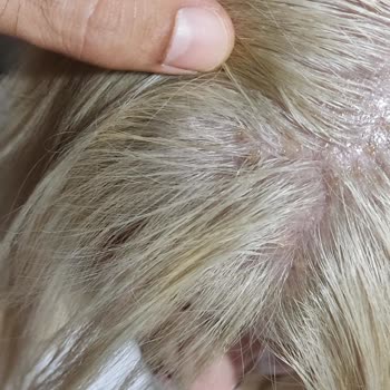 Miss Coiffeur Tekirdağ Merkez Kuaför Deneyimi