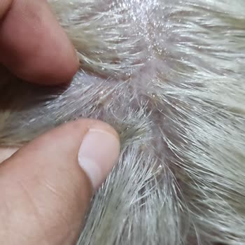 Miss Coiffeur Tekirdağ Merkez Kuaför Deneyimi