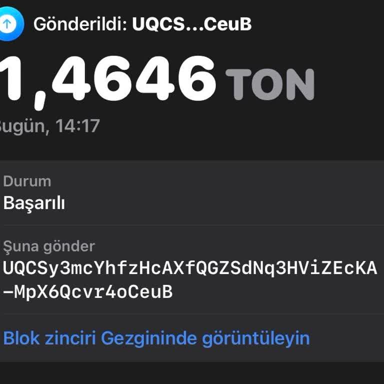 Binance'ye Gönderilen Ton Coinlerin Kaybolması