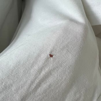 Bosch Serie 8 Kurutma Makinesi Kıyafetleri Yırtıyor!