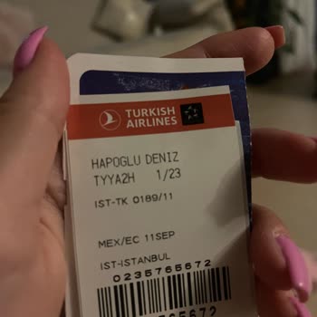 Mi equipaje se perdió en el vuelo de Turkish Airlines y no lo han entregado