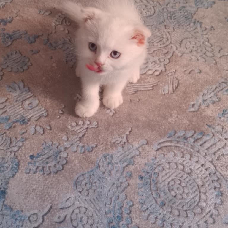 Kablo Net Personel Çay Ve Sigara Keyfi