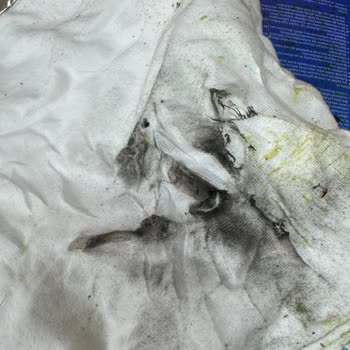 Pegasus Bagajım Yanmış-Ezilmiş, Eşyalarım Kullanılamaz Durumda